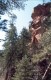 Thumbs/tn_072.Zion Canjon.jpg
